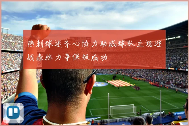 热刺球迷齐心协力助威球队主场迎战森林力争保级成功
